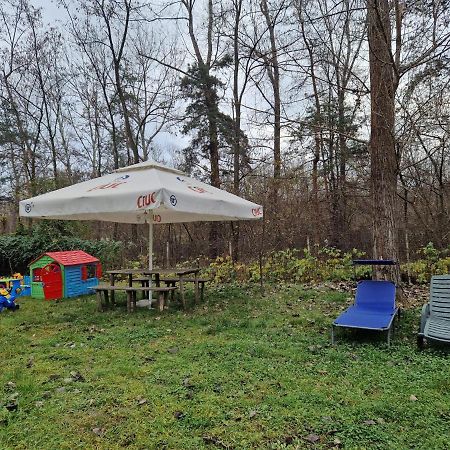 Pensiunea Carpe Diem Râmnicu Vâlcea Exterior foto